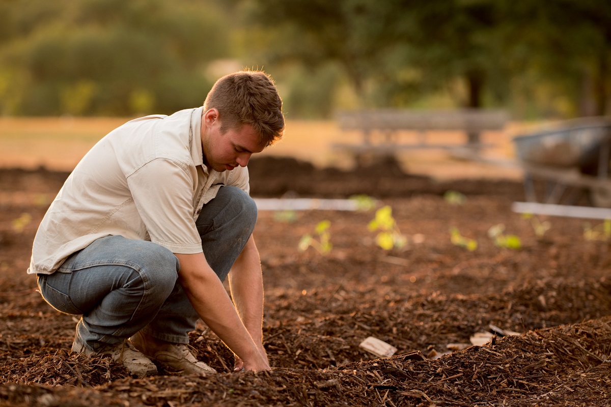 Back Pain Gardening